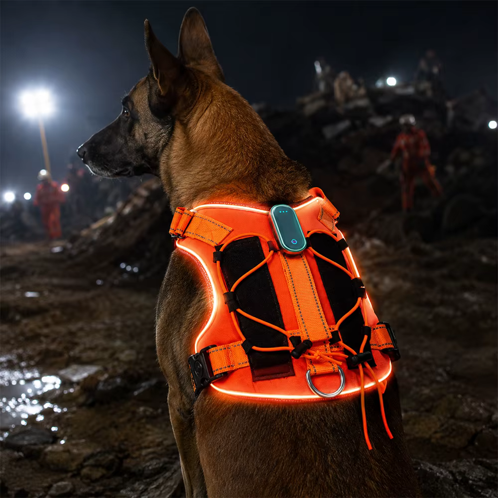 Harnais LED pour Chien et Chiot – Respirant, Léger et Réglable avec Visibilité Nocturne
