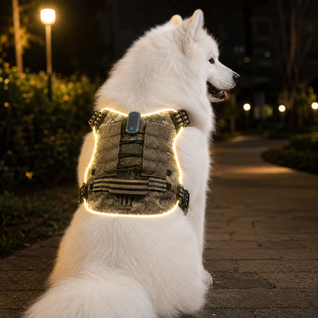Harnais LED pour Chien et Chiot – Respirant, Léger et Réglable avec Visibilité Nocturne